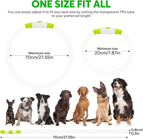 HIGO Light Up Dog Collars, USB Rechargeable LED Dog Collar, High Visibility Puppy Collar for Night Walking (Green)