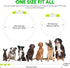 HIGO Light Up Dog Collars, USB Rechargeable LED Dog Collar, High Visibility Puppy Collar for Night Walking (Green)