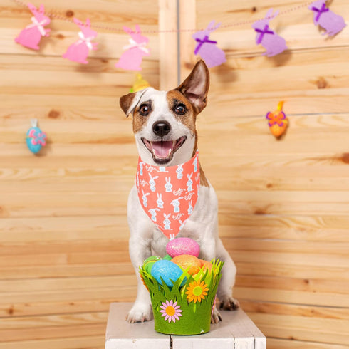 ADOGGYGO Easter Dog Bandana - Reversible Triangle Scarf for Medium and Large Dogs, Multiple Sizes Offered (Large)