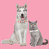 HAOPINSH Dog Bow Tie Collar, Adjustable Valentine's Day Holiday Collars for Large Medium Small Dogs, Soft Durable Red