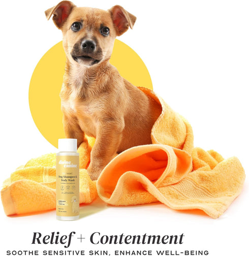 Heavenly Dog Shampoo & Conditioner - Deep Conditioning Wash for Clean, Soft, Healthy Skin & Fur, 13.5 oz
