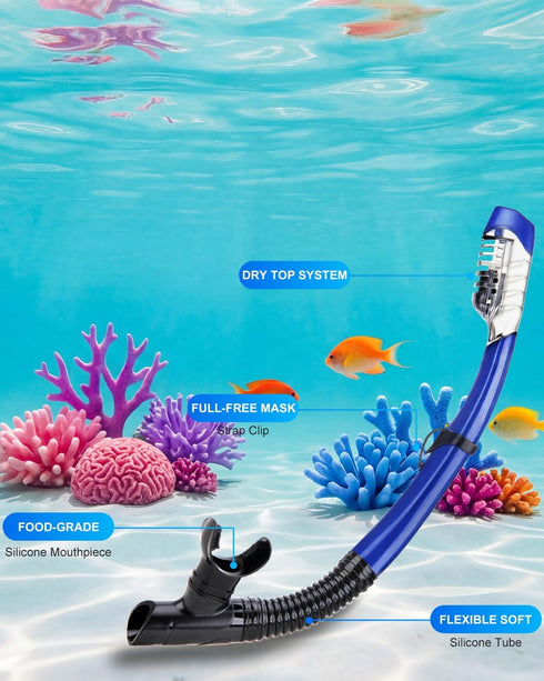 Set, Set Swimming Packages Snorkeling Gear for Adults, Dry Snorkel Mask Scuba Diving Snorkle mask Adult, Panoramic Wide