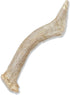 Prairie Dog Antlers | Whole North American Deer Antler | SMALL | Naturally Shed | Hand Harvested | 4-5.5 inches long