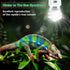 LUCKY HERP 5.0 UVA UVB Reptile Light - 15W Compact Fluorescent Lamp for Chameleons, Lizards, Tortoises, Snakes