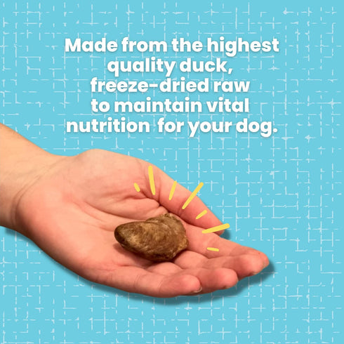 hotspot pets Freeze Dried Duck Heart Treats for Cats & Dogs - 1LB BIG BAG, All Natural Grain-Free Duck Hearts