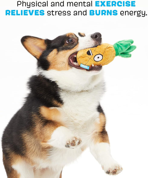 Barkbox 2 in 1 Interactive Plush Dog Toy - Rip and Reveal for Small Dogs - Penny The Pineapple