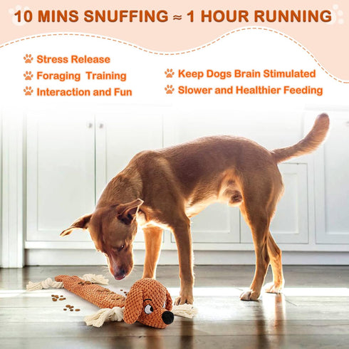Dog Toys, Squeaky Chew Toy with Crinkle Paper, Interactive Tough Plush Rope Toys for Small Medium Large Dogs