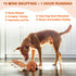 Dog Toys, Squeaky Chew Toy with Crinkle Paper, Interactive Tough Plush Rope Toys for Small Medium Large Dogs