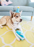 ZippyPaws Birthday Box - Colorful Squeaky Toy Set for Dogs, Birthday Gift with 3 Toys