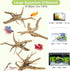 Tfwadmx Natural Driftwood for Aquarium, 6-8" 4 Pcs Wood Aquarium Decorations, Fish Tank Log Reptile Tree Branches