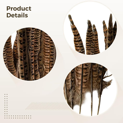 Generic 24 Natural Pheasant Feather Cat Toys, Wooden Handle Interactive Pet Teasers, Fun Exercise and Play Tools