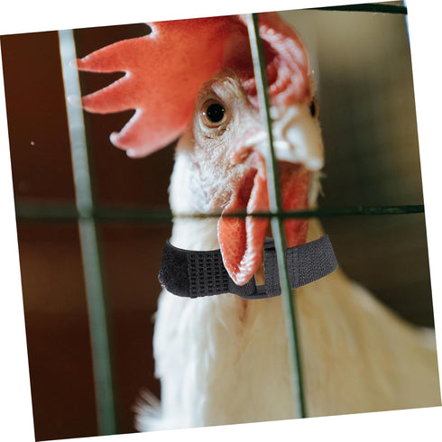 4pcs Nylon Chicken Collar for Rooster - No Crow Band Noise Collars, 2 Pack for Poultry
