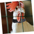 4pcs Nylon Chicken Collar for Rooster - No Crow Band Noise Collars, 2 Pack for Poultry
