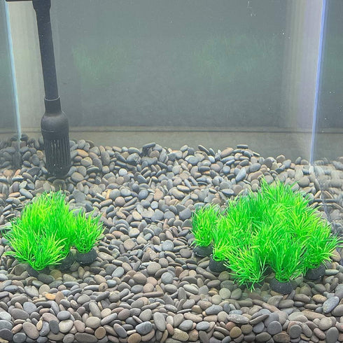Smoothedo-Pets 20 Pieces Small Plastic Aquarium Plant Decoration, 1" Tall Mini Grass Set for Fish Tank (Green-C)