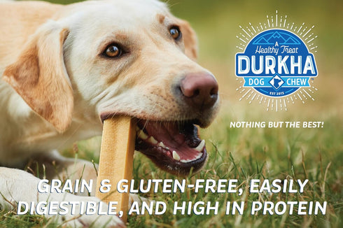 Yak Cheese Chews: Himalayan Yak Cheese Dog Chews- Natural, Healthy & Long Lasting Dog Treats - Grain, Gluten & Lactose-Free Rawhide Alternatives, For Dogs 55 lbs and Smaller, Single Large Stick