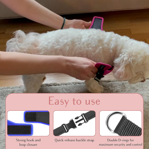 Comfort Fit No Pull Dog Harness, Adjustable Step-in Vest for Small, Medium & Large Dogs with Reflective Straps