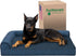 Furhaven Orthopedic Dog Bed for Large Dogs, Jumbo/XL, Plush & Almond Print L Shaped Chaise with Removable Washable Cover