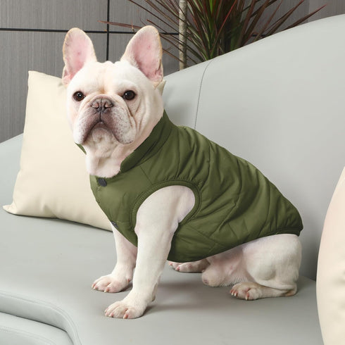 2 Layers Fleece Lined Dog Jacket, Warm Winter Coat for Medium Dogs, Soft Windproof, Green, Size L