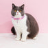 Weewooday 4 Pieces Halloween Skull Cat Collar Breakaway Kitten Collars with Bell, Adjustable Outfit with Skull Patterns