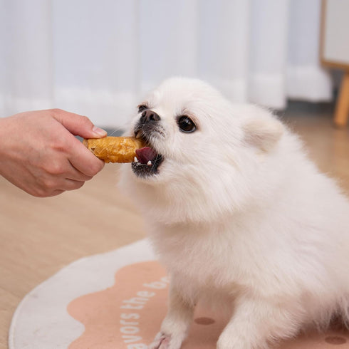 MON2SUN 3 Inch 13.23oz (10 Count Pack 1) Rawhide Free Dog Treats, Chicken Wrapped Rolls, Low Fat and Training Snacks