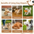 FurVeluxia 360Stretchy Period(S,60PCS) Dog Diapers Female, Pull It Up Disposable Puppy Diapers with Waist,Super