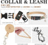 EXPAWLORER Khaki Small Dog Harness and Leash Set with AirTag Holder, Soft Padded No Pull Reflective Vest for Medium Dogs