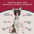 100% 1 oz Animal Essentials Seasonal Allergy Treatment for Dogs - Liquid Herbal Support for Dogs & Cats, Wellness