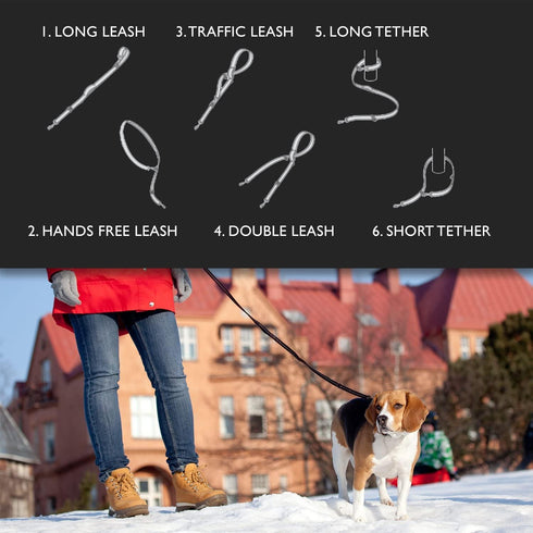EzyDog Vario 6 Multi-Function Dog Leash - Snap Hook, Reflective Stitching, Perfect for Running, Walking, Traffic