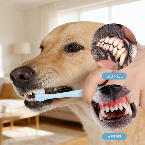 Josojoou 4PCS Packaged, Small Dog Toothbrush, Mini Head Soft Pet Toothbrush, Ergonomic Cat Tooth Brush for Puppies
