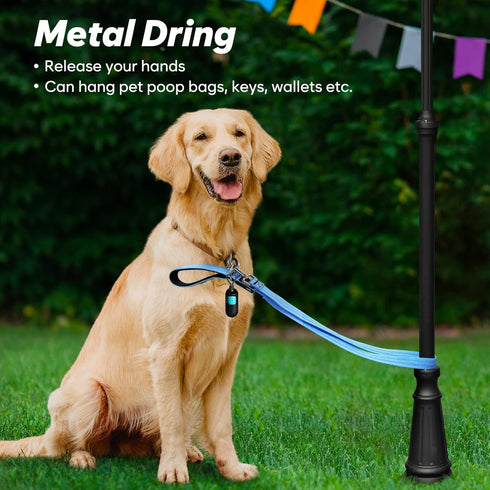 4 Ft Led Dog Leash - Rechargeable Light Up Waterproof, Safety Glow In The Dark for Night Walking, Nylon Reflective