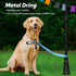 4 Ft Led Dog Leash - Rechargeable Light Up Waterproof, Safety Glow In The Dark for Night Walking, Nylon Reflective