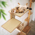 2 2 Cat Wall Shelves, Wall Mount Adult Cat Tree with Steps Sisal Scratch Mats, Solid Wood Kitten Bed Pet Climber