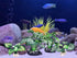 4PCS Small Size Soft Faux Silk Aquarium Plants for Betta Fish Tank Decorations, Hiding Fish Reptiles