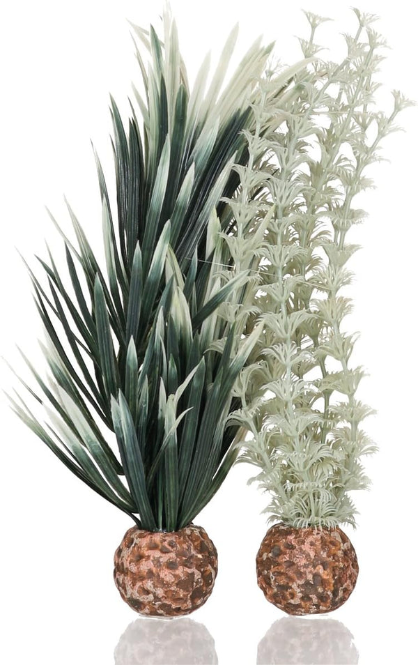biOrb Small Ambulia Plant Set, Colorful and Durable Aquarium Decorations, Gray-Green