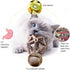 Catnip Toys - 2Pcs Natural Silvervine Stick and Catnip Ball & Bell Ball, Indoor Cat Chew Toy for All Breeds