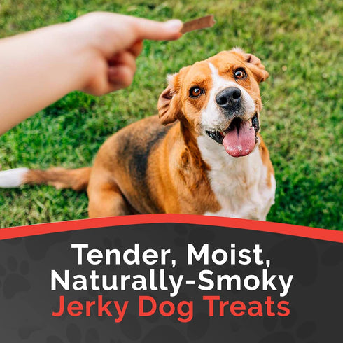Miss Nelly's Chicken Jerky Dog Treats - Soft Sticks - USA Made, Original Smoke House Recipe, 8 oz. Bag