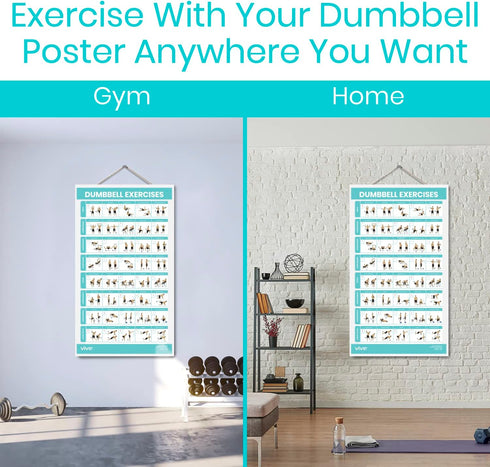 Vive Dumbbell Workout Poster - Laminated Home Gym Exercise Chart for Upper, Lower, Full Body Workouts