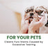 Non-Toxic Dogs Facial Scrub - Tearless Face Wash for Cleaning Stains and Dirt - Organic Cucumber and Aloe Vera - 13.5oz