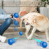 Interactive Dog Toys Dog Ball | Durable Active Rolling Ball | Automatic Moving Bouncing Toy for All Sizes