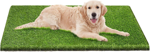 FezepYmaz Artificial Grass, 26x51'' Dog Pee Pads, Professional Dog Potty Training Rug, Grass