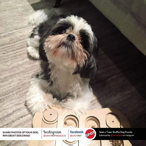 Spot Ethical Pet Interactive Seek-A-Treat Shuffle Bone Puzzle Toy for Dog Training and IQ Improvement