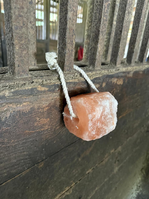 Generic 2 lbs Pack 6 Himalayan Salt Lick Each | of | Licking Salt for Horses | Deer Salt Lick Block | Block Salt on