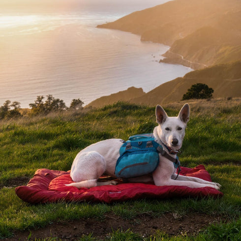 Kurgo Waterproof Dog Bed, Portable Outdoor Bed Roll for Pets, Travel Dog Bed for Hiking, Camping, Chili Red, Medium