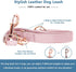 Soft Leather Dog Collar and Leash Set (6.6') - Stylish Rose Gold Heavy Duty Metal Buckle, 4 Adjustable Lengths for