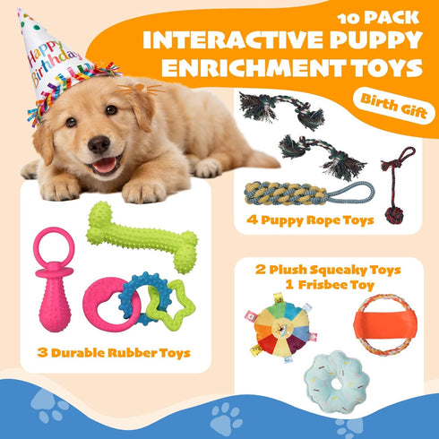 Wovelli 10 19.5" Puppy Play Gym with Hanging Toys, PVC Removable Dog Enrichment Playground, Interactive Indoor Training