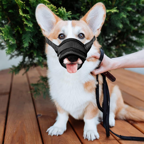 YAODHAOD Nylon Mesh Breathable Dog Mouth Cover, Quick Fit Dog Muzzle with Adjustable Straps to Prevent Biting (M, Black)