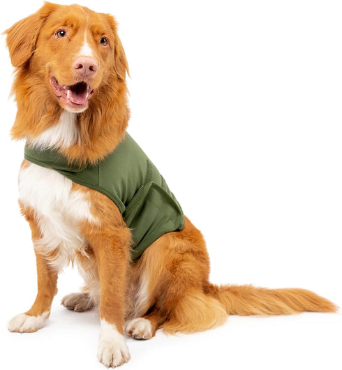 Dog Anxiety Calming Wrap, Small, Cypress