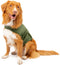 Dog Anxiety Calming Wrap, Small, Cypress