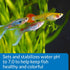 API PROPER pH 7.0 Freshwater Aquarium Water pH Stabilizer, 8.8-Ounce Pack of 2