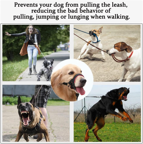 BARKLESS No Pull Dog Head Collar, Soft Padding Halter, Sturdy Halters for Large Medium Small Dogs